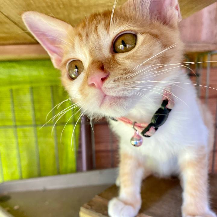 8663c357 57ae 4527 88a0 e9eaee889bfb 1632119010781