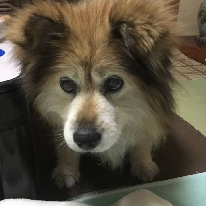 8663c4a6 9fbd 4651 8eea dce5434c663e 1603804545802