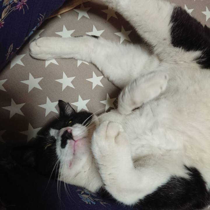 8663ceb6 6a36 4fe2 9f90 bed1e81253b0 1632736873970