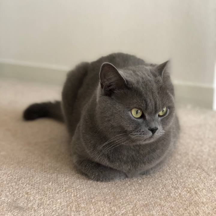 8663d38d f115 424e b751 eabb6c4198b3 1527412398002