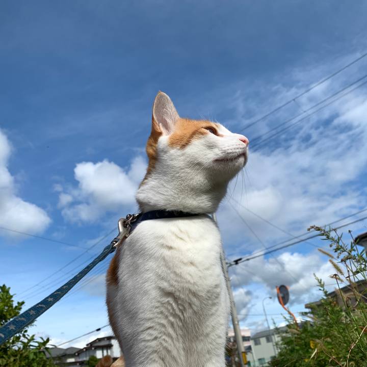 86642758 1c51 4aa3 ada1 0279b5e4d100 1572061371841