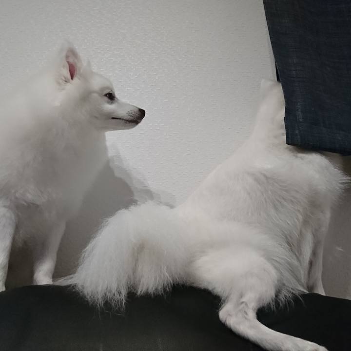 8664373a a81d 4ae8 b337 d193076fd5d2 1556198567924