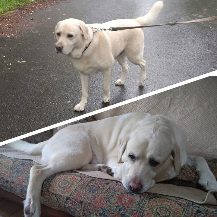 86644d70 b204 42f5 9509 2144058ce087 1688891171179