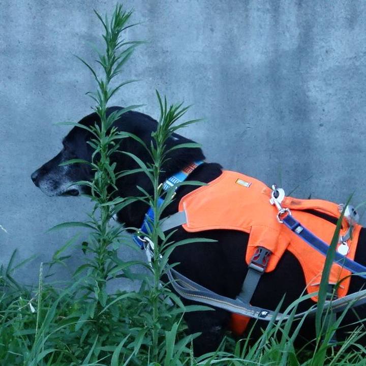 86644dfd 6371 41a6 8e76 93c8ddf3db14 1753009077361