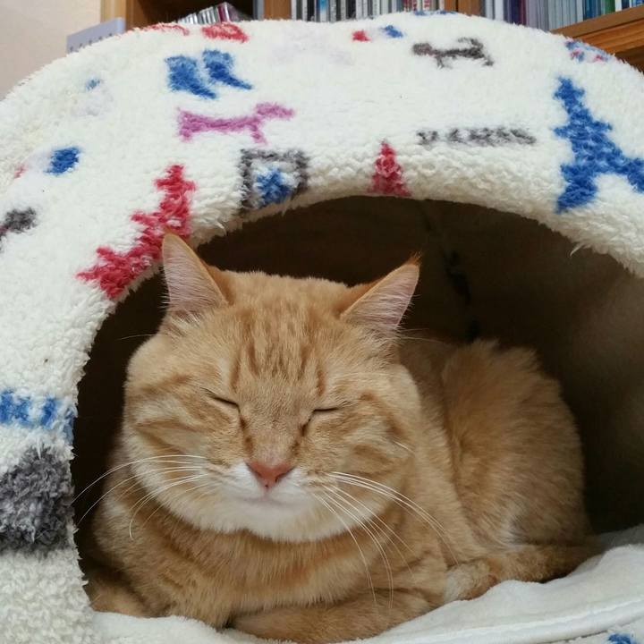 86648a3e 202d 41f1 8904 95ae6881e7d0 1514378126617