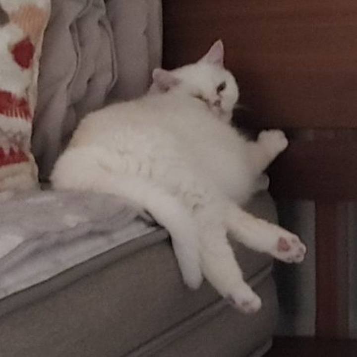 8664b698 cc4f 463e bcdb 93063caa9000 1701004964427