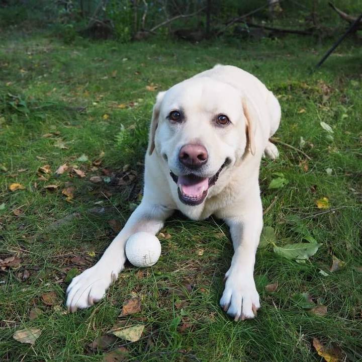 8664ffa6 2a26 4448 80fe 00fa4cb51cb3 1628828523898