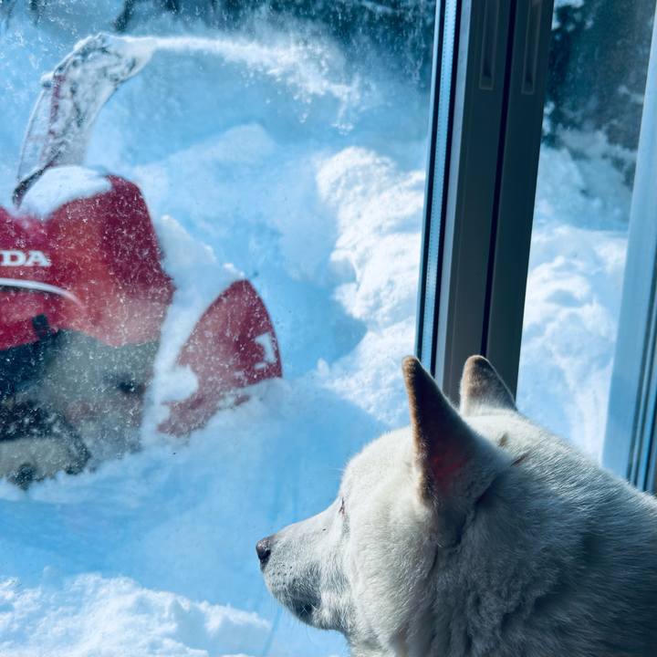 86650515 7d64 45d1 9b9e 25d89e0a0f4f 1769213280489