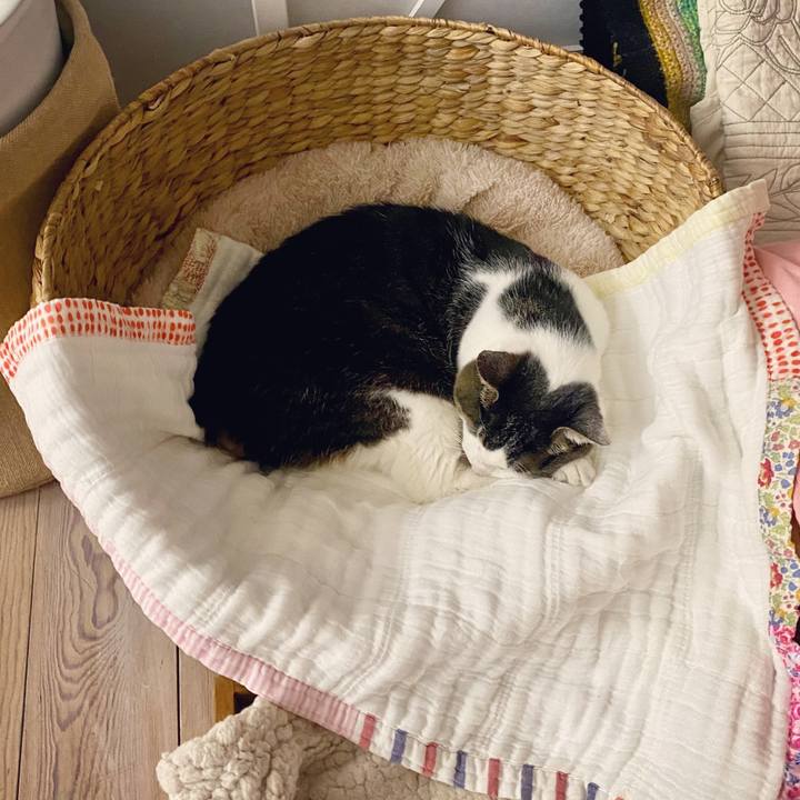 86651c58 8c85 49d3 a23a 0deab820e7f3 1595161583558