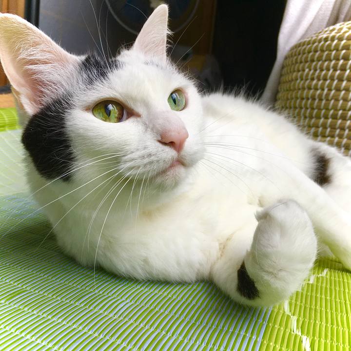 866559a6 d05e 410f 8f61 e13d4301657a 1593065947463