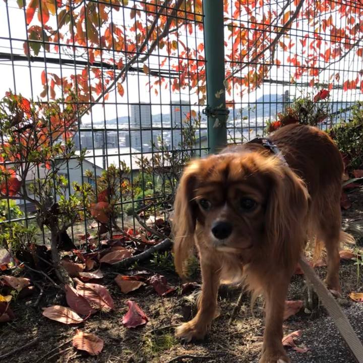 8665db0c 6f76 4477 bdf5 ef0daab1ea6b 1573362523742