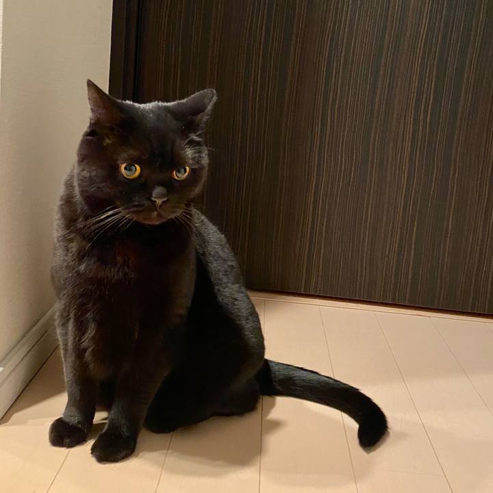 8665e349 e1c1 40c7 9a56 a7f9228126e8 1646311904286