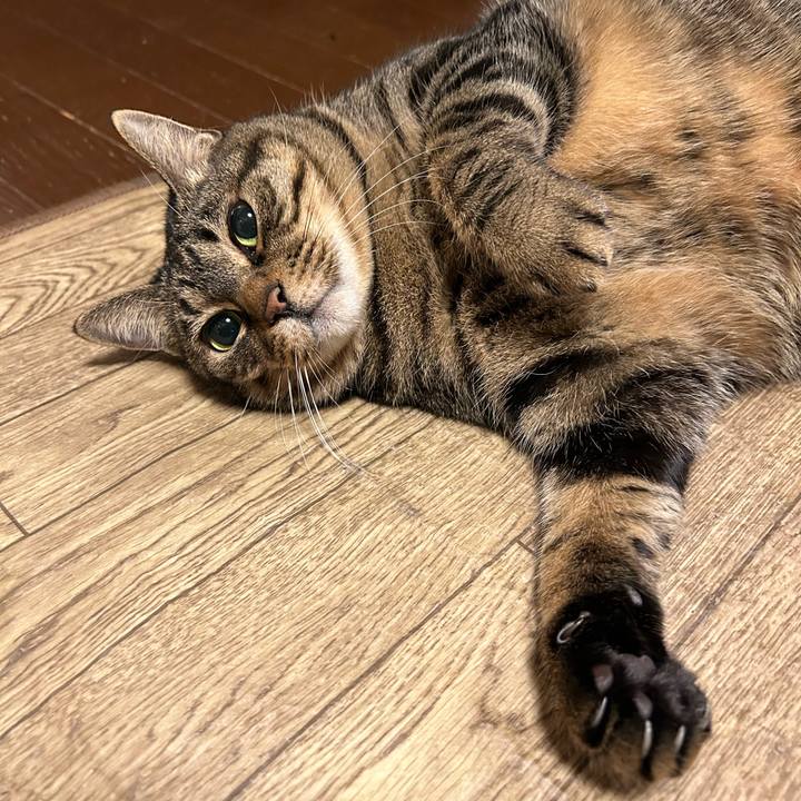 8665ee5a 53be 448d b0a7 bafa56a70d9b 1686573490574