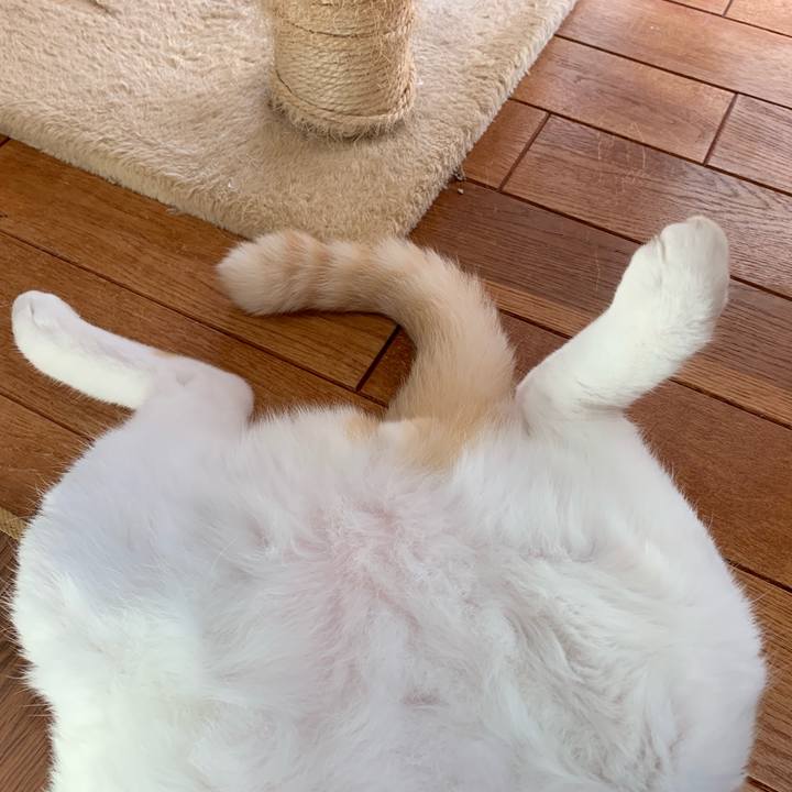 86661219 0ba7 4047 a984 65c19d980dcc 1565584842048