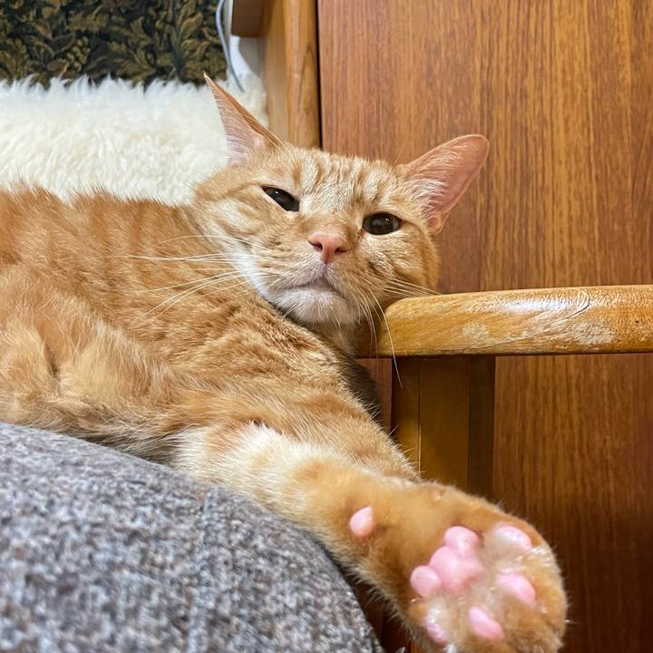 866631d5 3383 4902 bfc3 8a03bfb0b81c 1665487038984