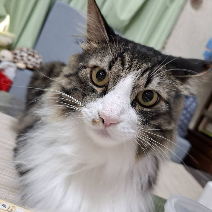 8666427c d2e0 4fd5 a859 68fe80849d47 1754264514187