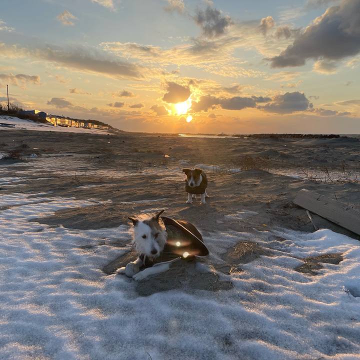 86664784 add1 4690 a97c 10d5810bd443 1769590264970