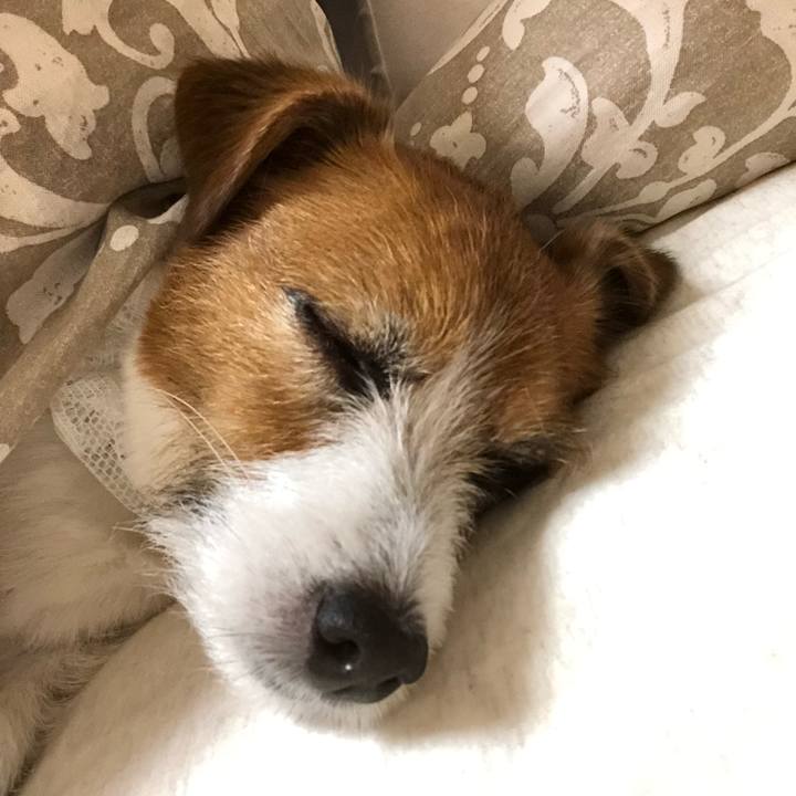 86665888 91bc 463a 9006 2d25cc6c4313 1589808574730