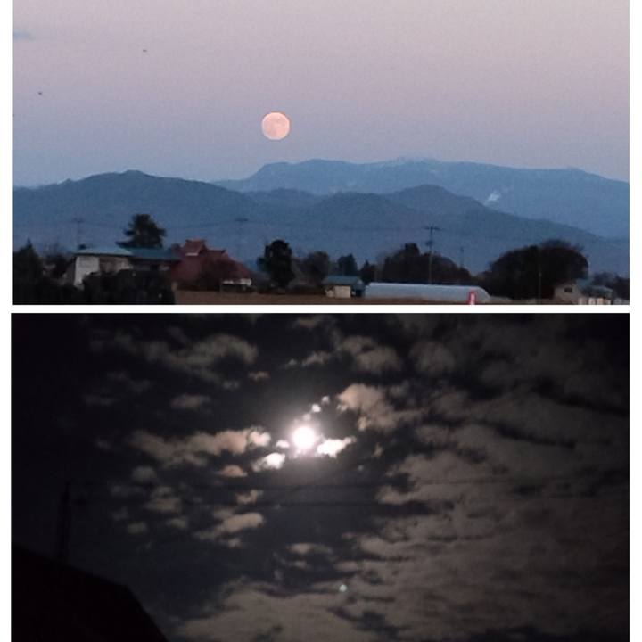 866664b2 7026 419b 8dd2 f2c431eb1603 1701079793817