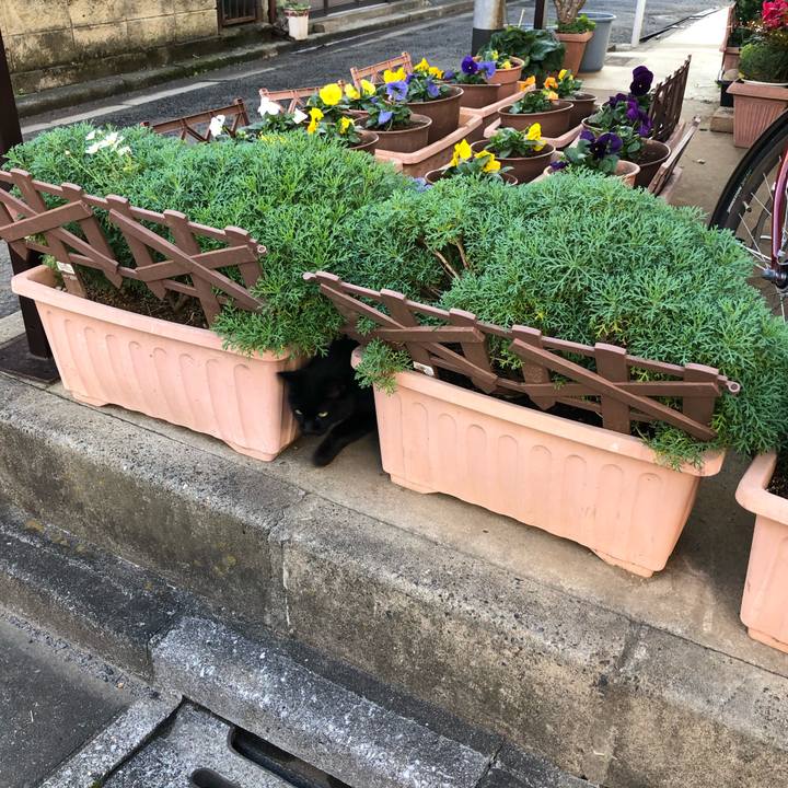 866675ed 1013 4669 baa3 c2e216bde4ca 1580740476232