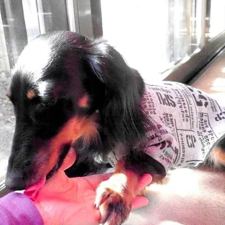 866676af fa96 4539 90d2 82030704a008 1542249967416