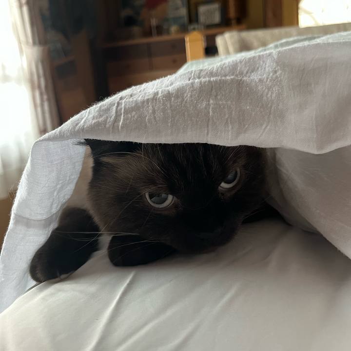 86667944 4827 47e0 8f10 375797f290b4 1659698194707