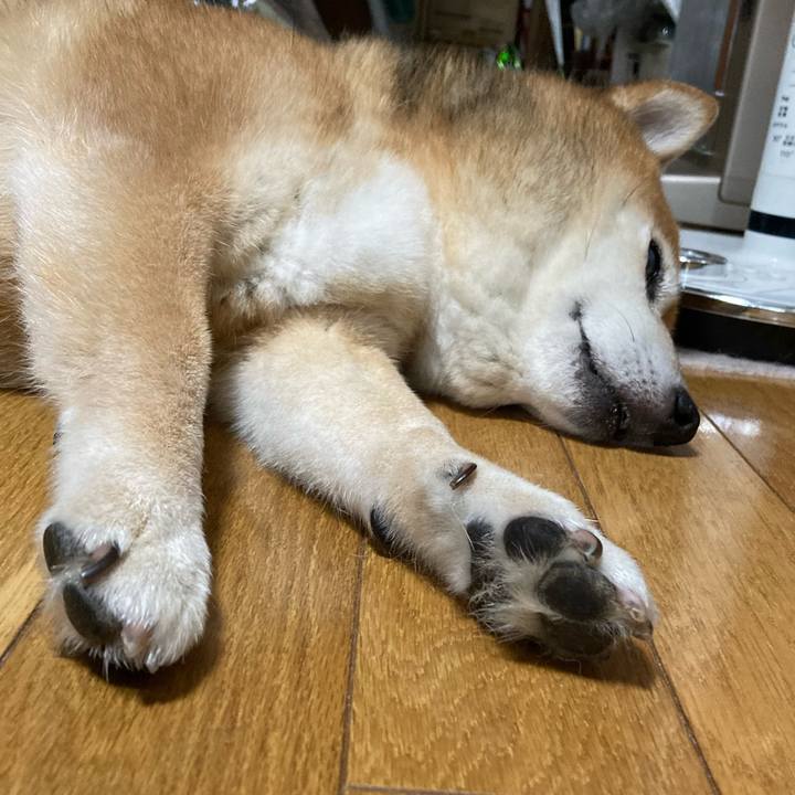 8666d171 249f 4f26 bd08 accea70625c1 1719545866824