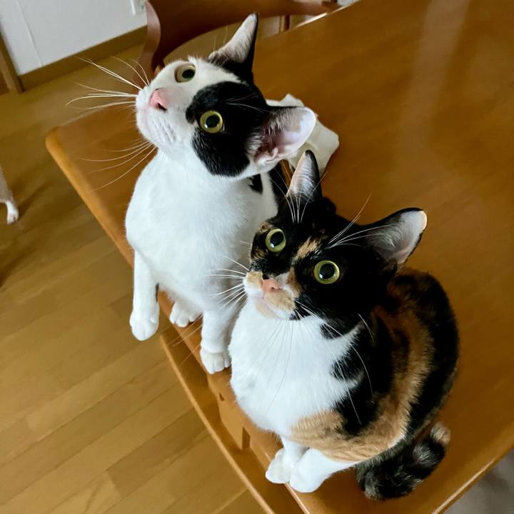 8666eca3 0df4 4a64 8054 571c6cc76f5d 1713009339047