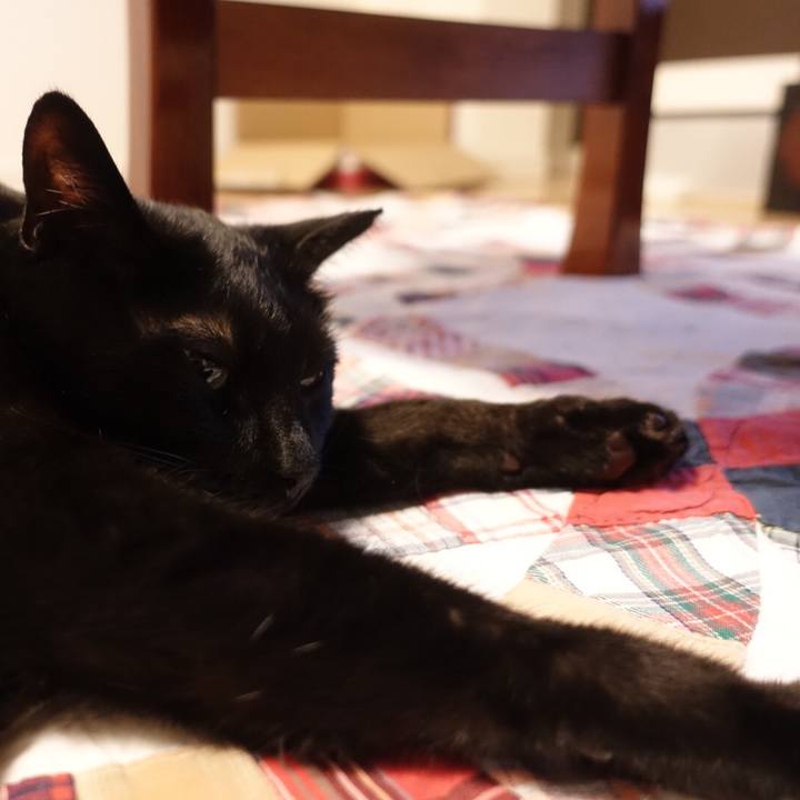 8666f4e4 1213 4c87 9f13 1b3a1a21bde4 1531067817035