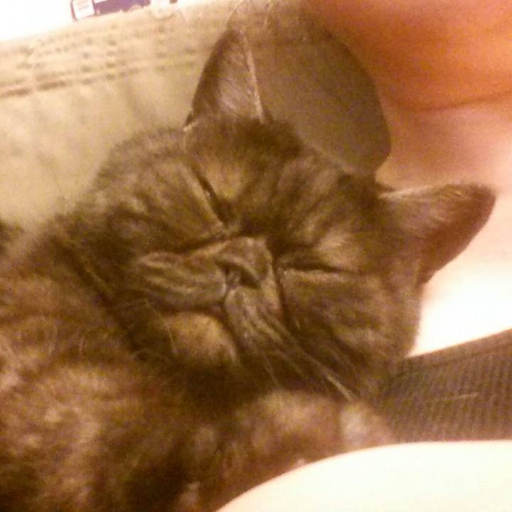 86670974 14ad 4171 95b2 acae75943229 1587975909879