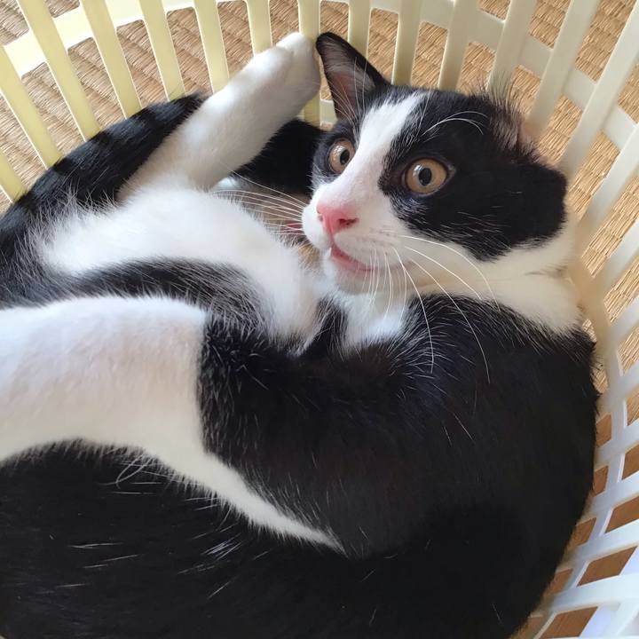 86671f4b cbcf 4b05 a552 a84e0951fe2f 1631259071718