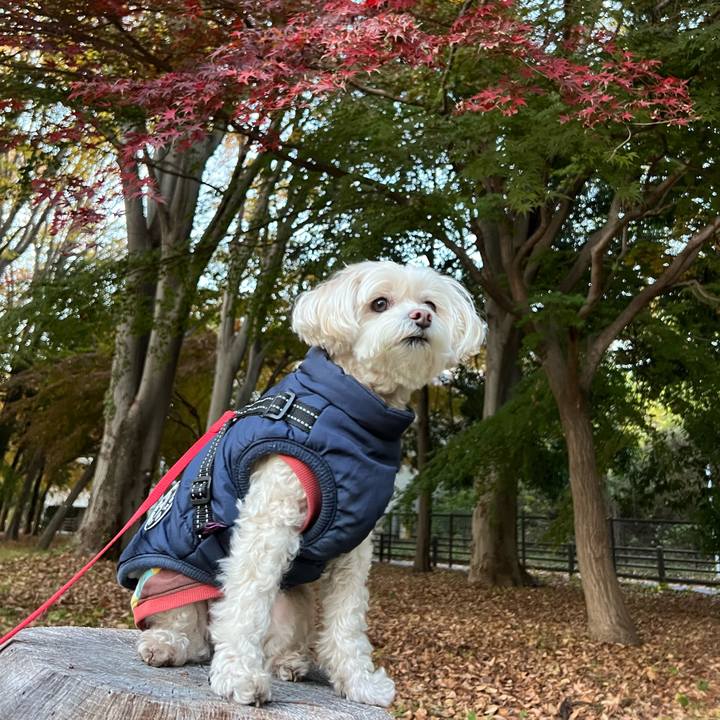 8667236b 4ea9 41b9 a510 272aa3ff69ef 1763801185887