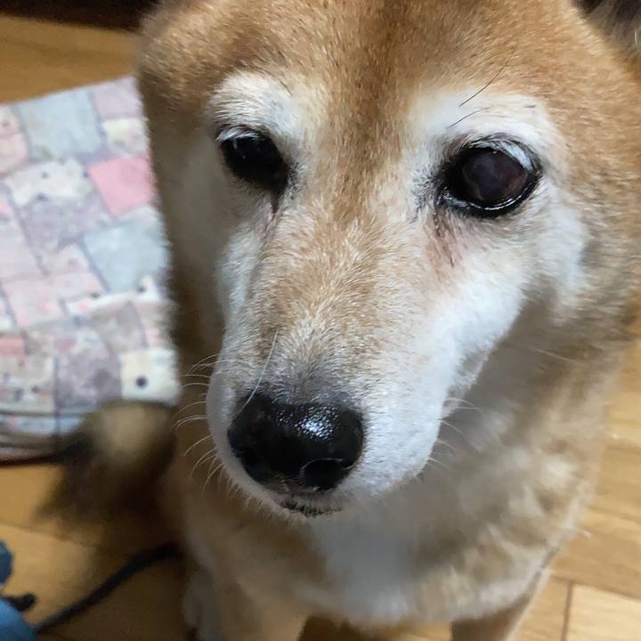 8667421a 5bbe 46b7 8df8 d9a10872643d 1664796814112