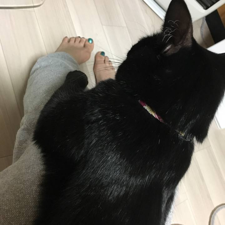 86674929 d3e4 4683 b0de 56184852007e 1514982801897