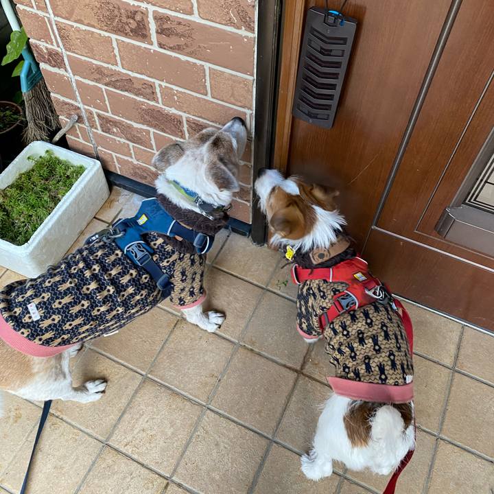 86675784 fed8 4eb9 a6be b2d3650edded 1674873535225