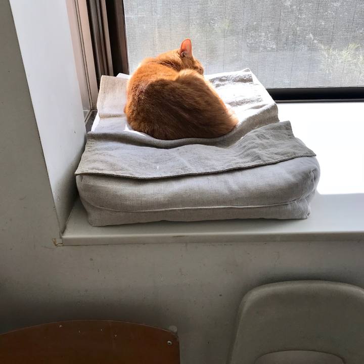 86676fbd 3685 480b 9bc0 6ee80730b310 1510454808614