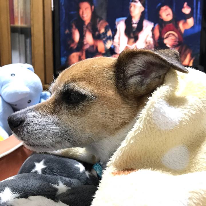 86678933 ed69 4beb aee8 e73544d850f1 1546782499232