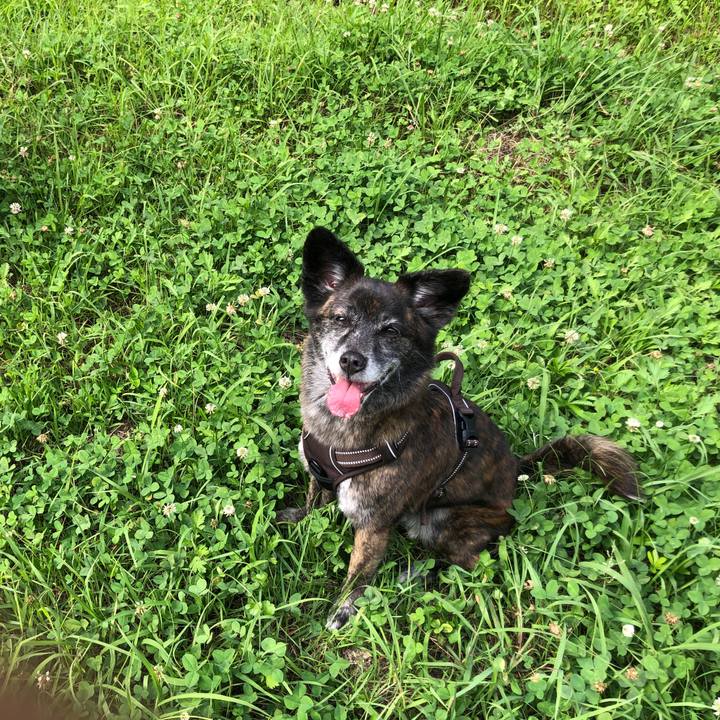 86678c8c 4705 41b4 aca1 676ab779a069 1628808710681