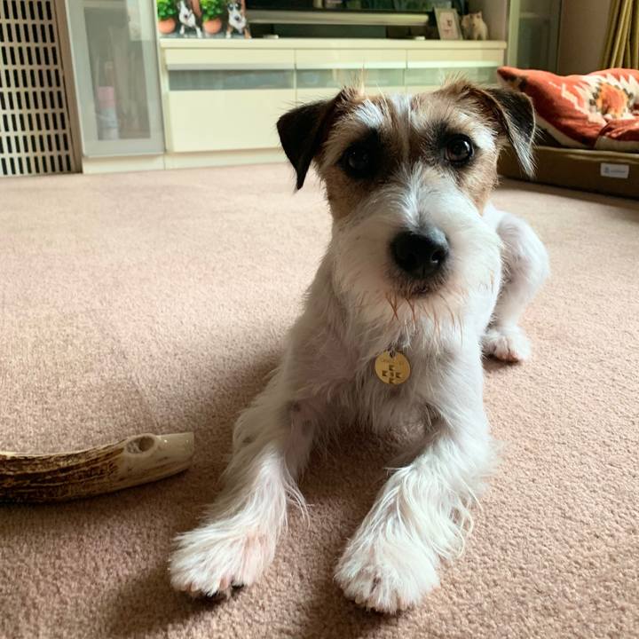 8667dfe9 957a 4b0f 97ea 9f09238dc67e 1592788939603