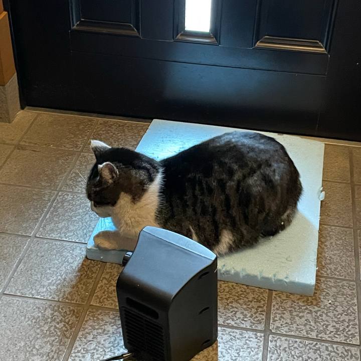 86681b86 cc60 4d30 868f f3798231ed85 1612166008688