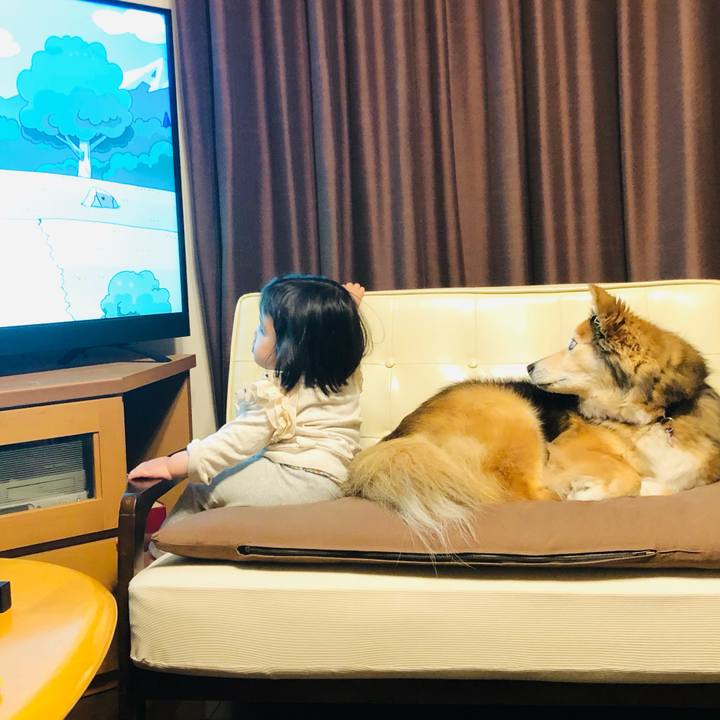 8668421c c610 42b6 971e 3a944a9a9fe1 1620617604765