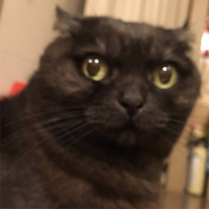 8668ffdc 0e69 4323 9155 aac830293ca9 1554205329615