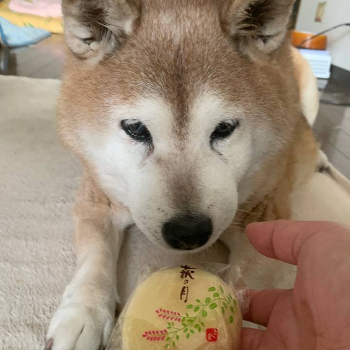 86692501 88f9 4390 8136 93429b124f17 1617433649600