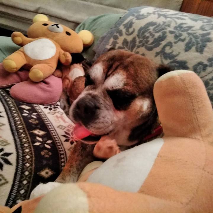 8669537d 95f2 4e96 a7fb 1b126e146d04 1554256524813