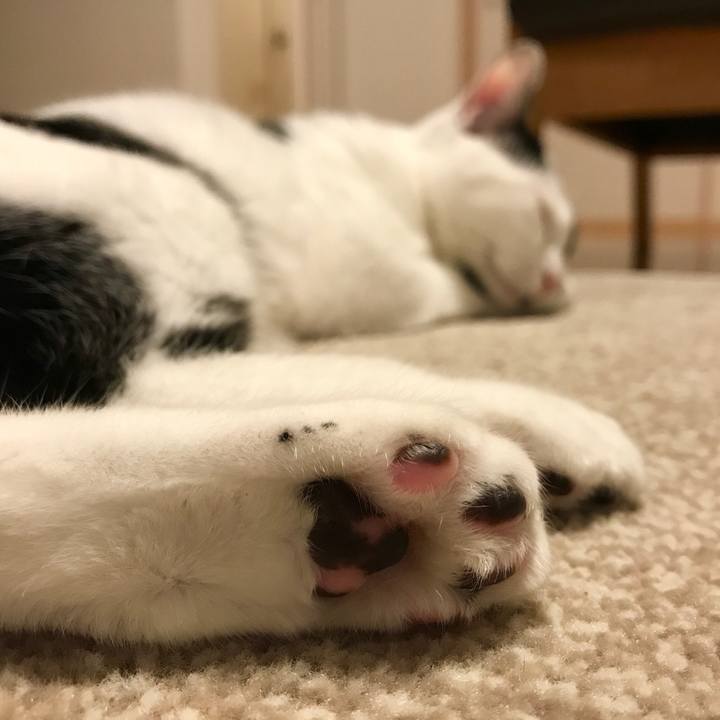 86697a04 c40f 44ec 870b 3e91e2360014 1510615624174