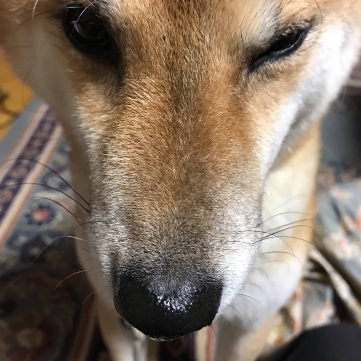 8669c00d 3760 4fab b149 bdb78e05b53b 1606911565885