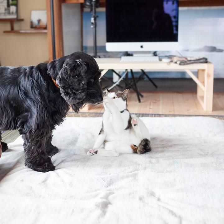 8669c4a4 c280 41f8 a33d d8c4d77ce6b7 1555072192246