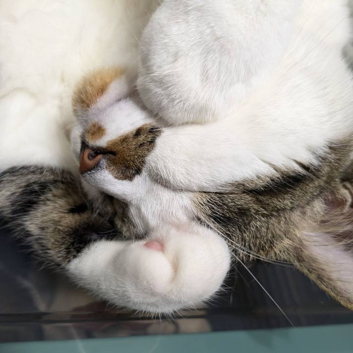 8669c97b ac8c 463a 89d5 fa5e76ccea21 1719056519865