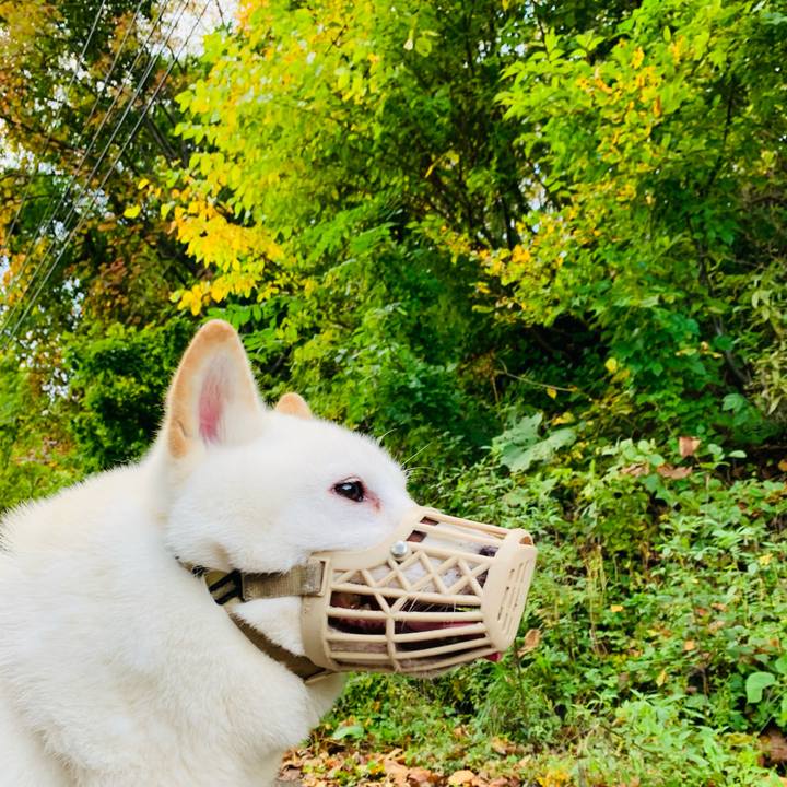 8669d8b3 e0ca 4277 bfa3 74e4b65b41f3 1602630318947