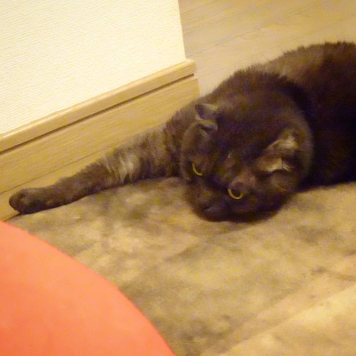 866a1892 f248 4fd9 9a05 6ffcffcf0fc3 1588771989632